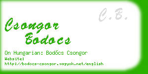 csongor bodocs business card